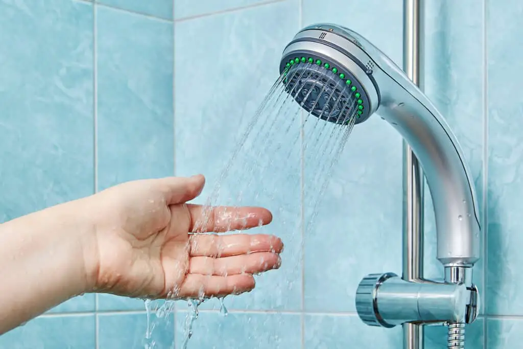 hand held shower head for elderly