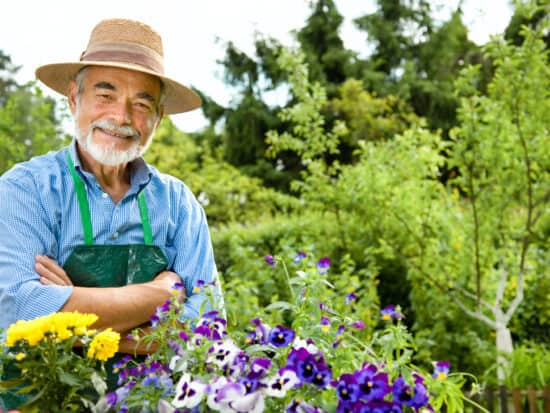 The Best Gardening Tools For Seniors - Tips for happy family