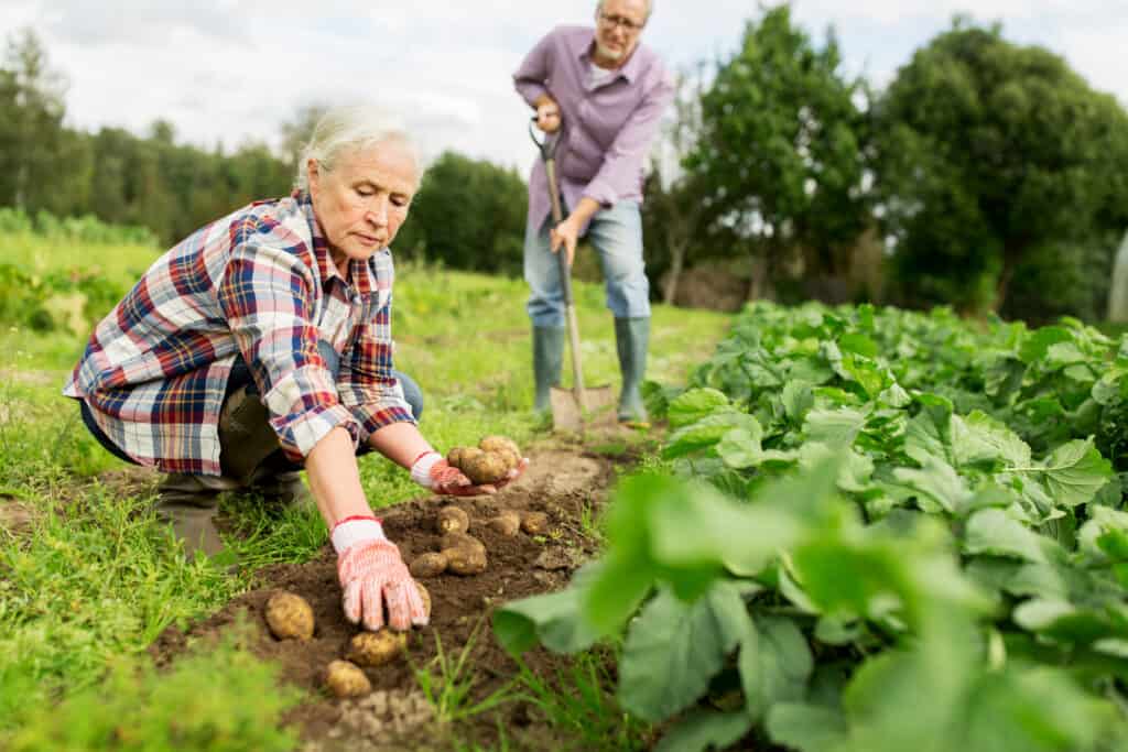 gardening tools for seniors