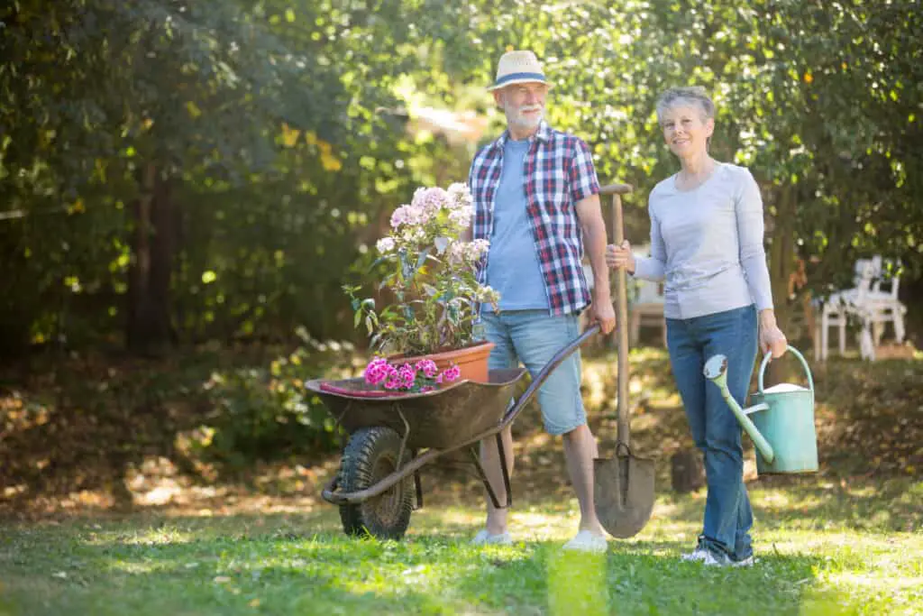 gardening tools for seniors