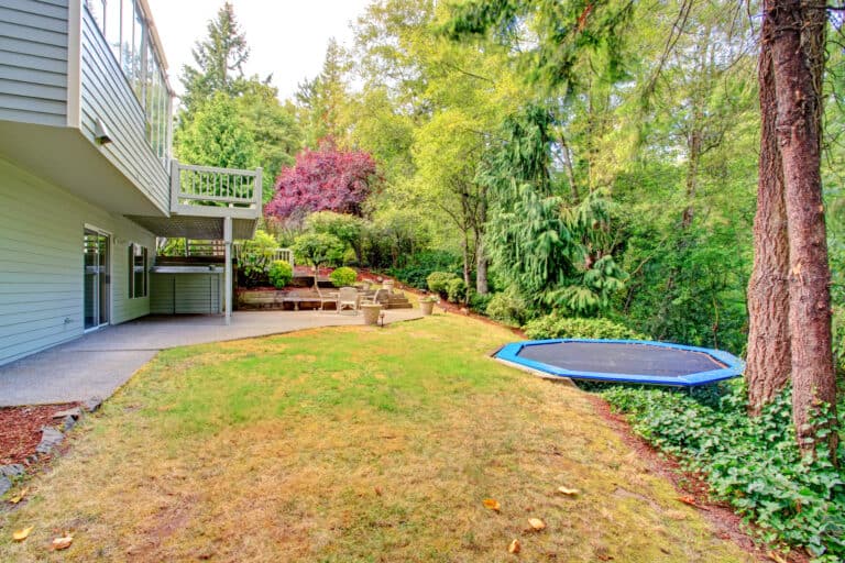 8 Best Trampolines for Small Backyard Tips for happy family