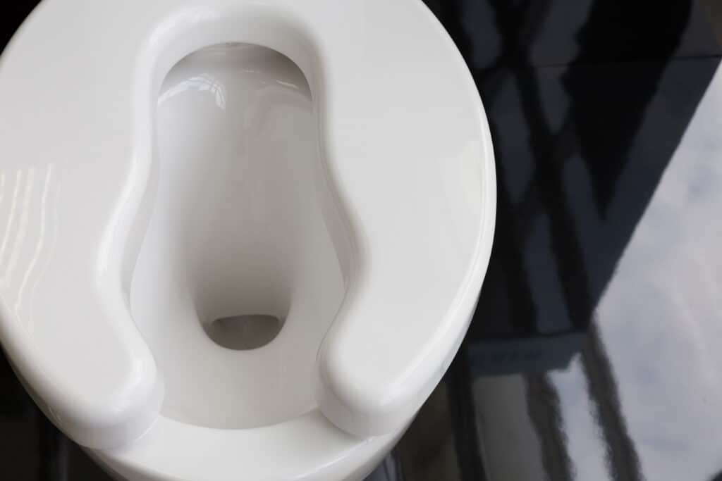 Best Raised Toilet Seats for Elderly