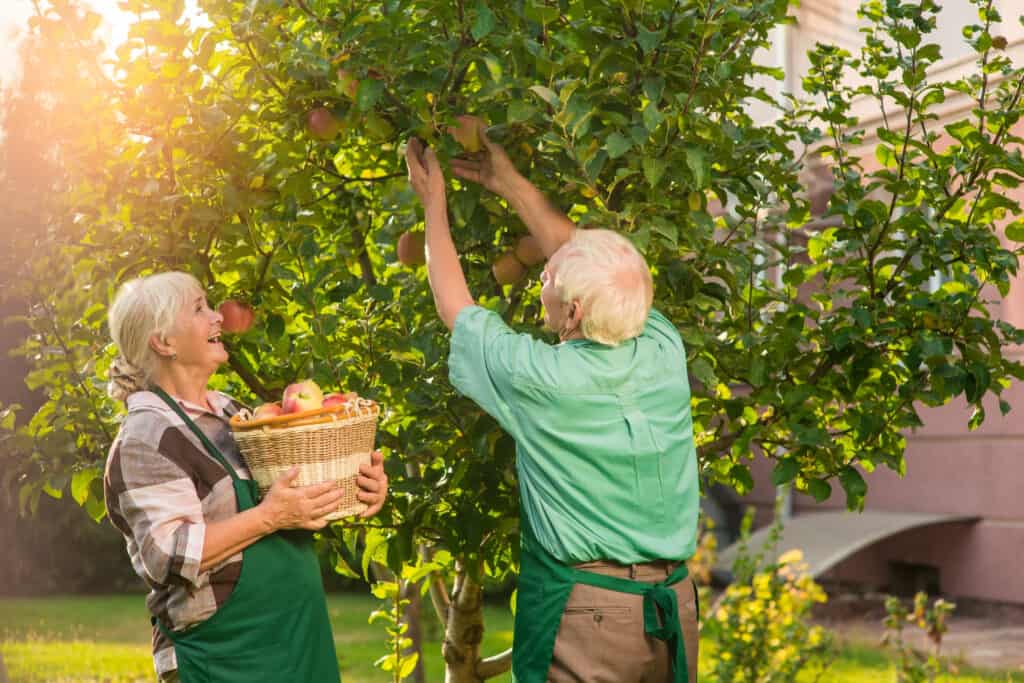 outdoor activities for elderly