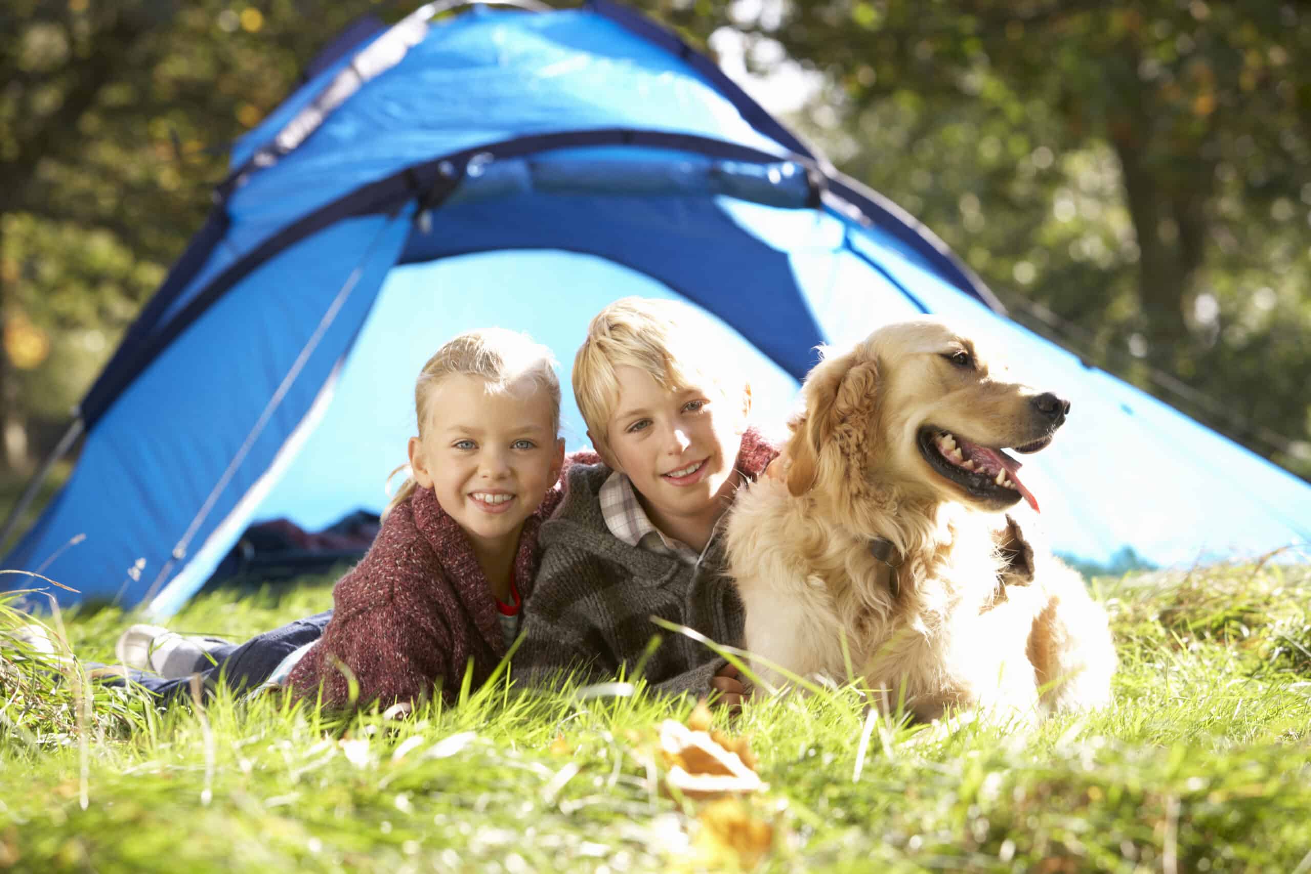 Best Tents For Camping With Dogs Top 7 Picks And Buying Guide Tips